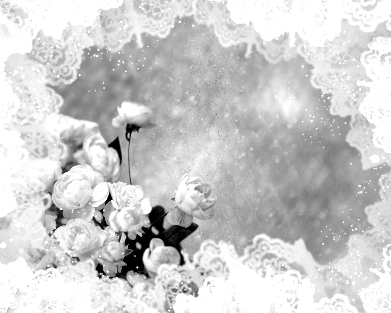 Бежевые кружева и розы обои