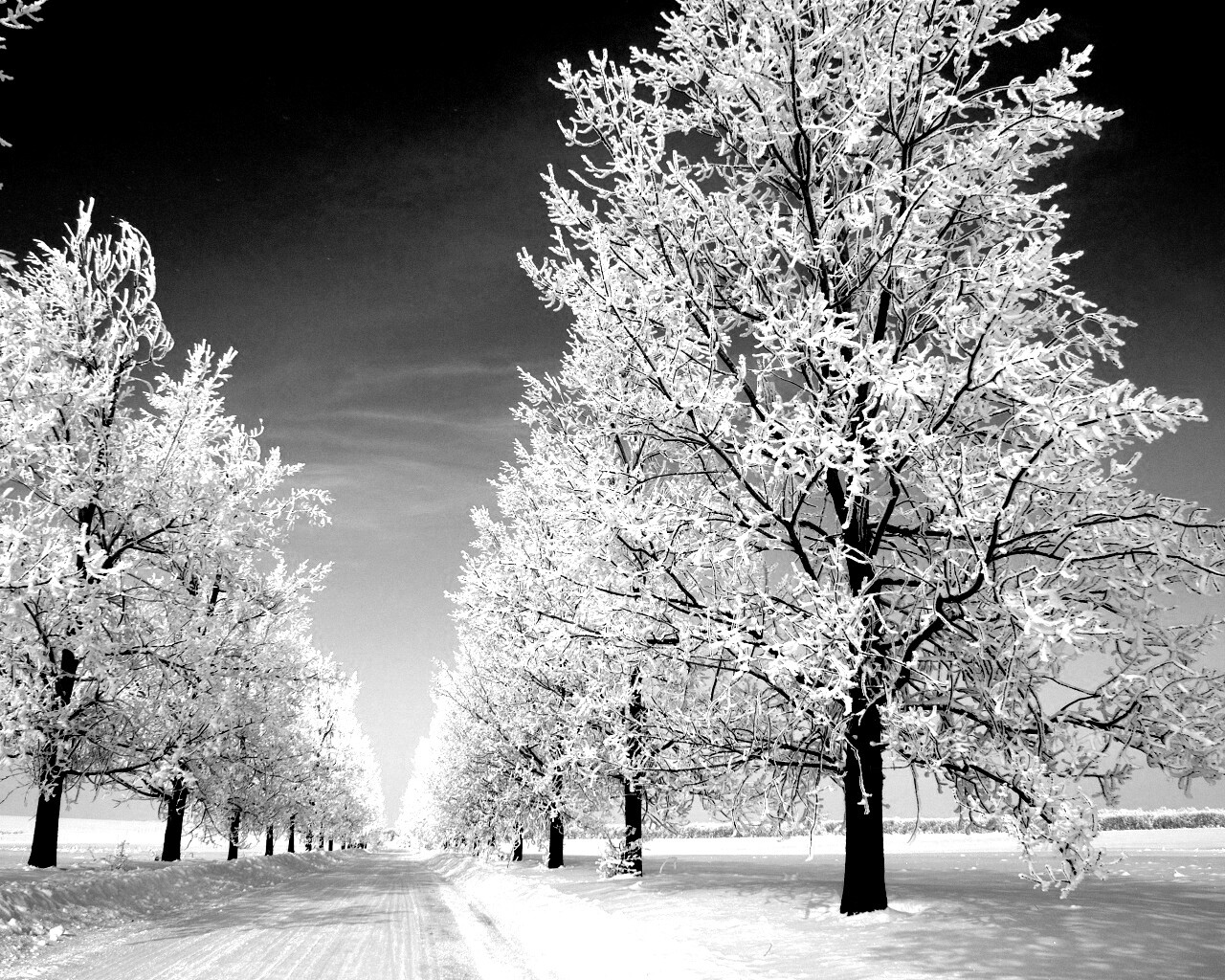 Снежная долина обои