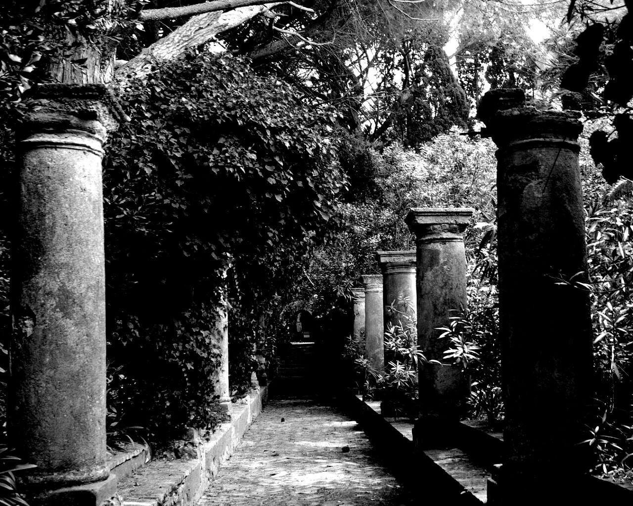 Галерея зимнего сада обои