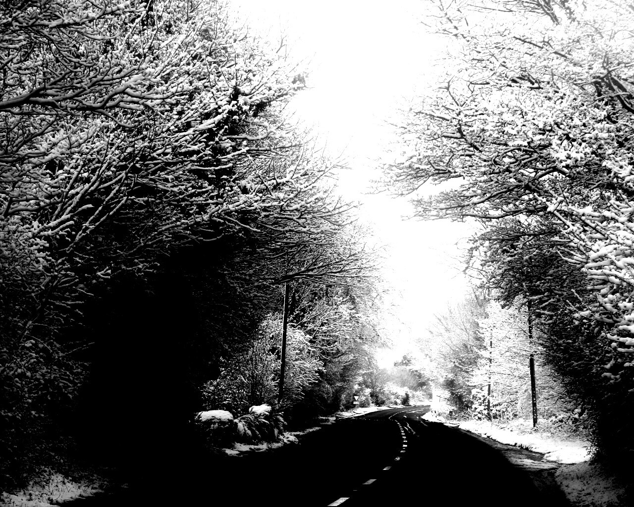 Дорога через зимний лес обои