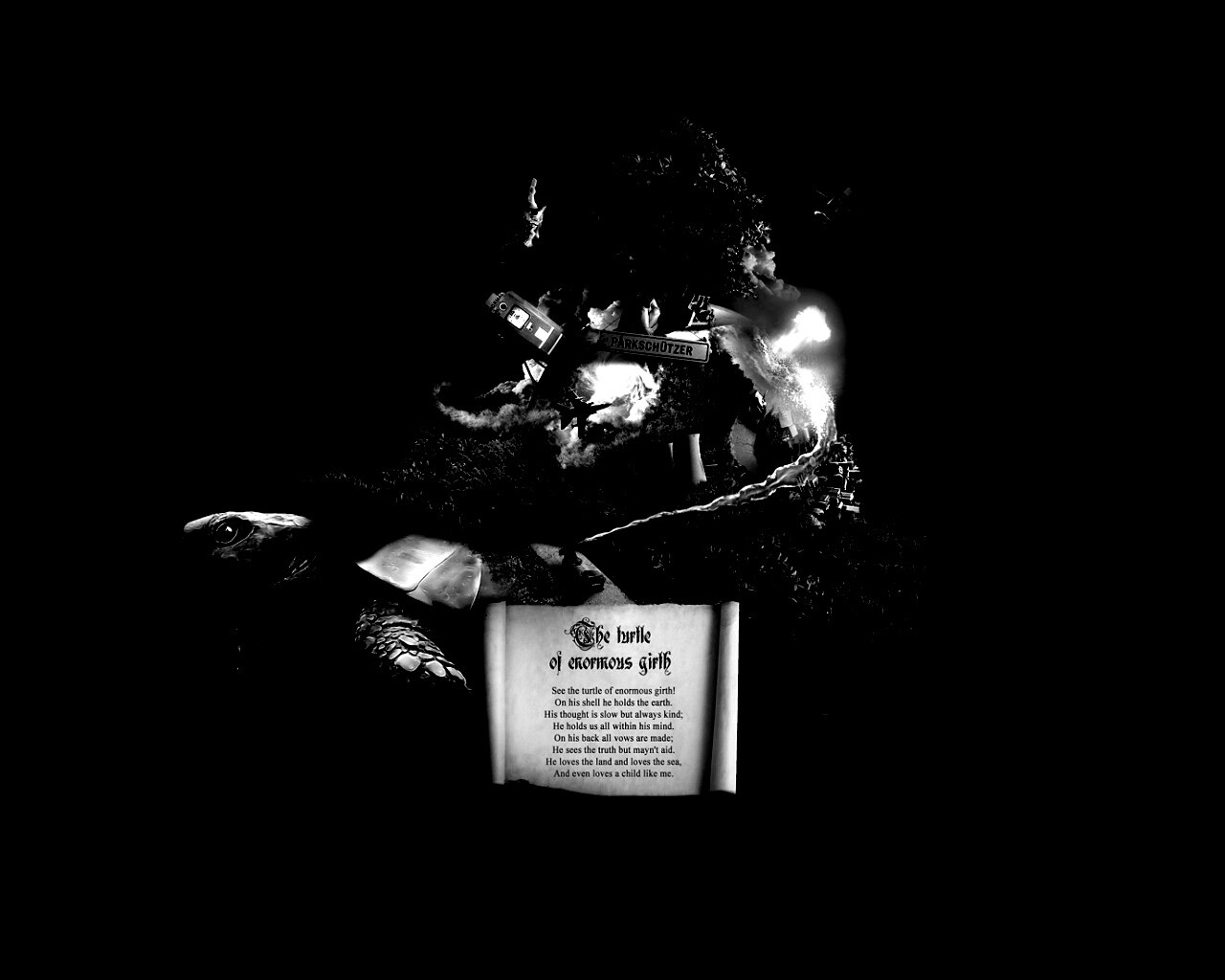 Огромная в обхвате черепаха обои