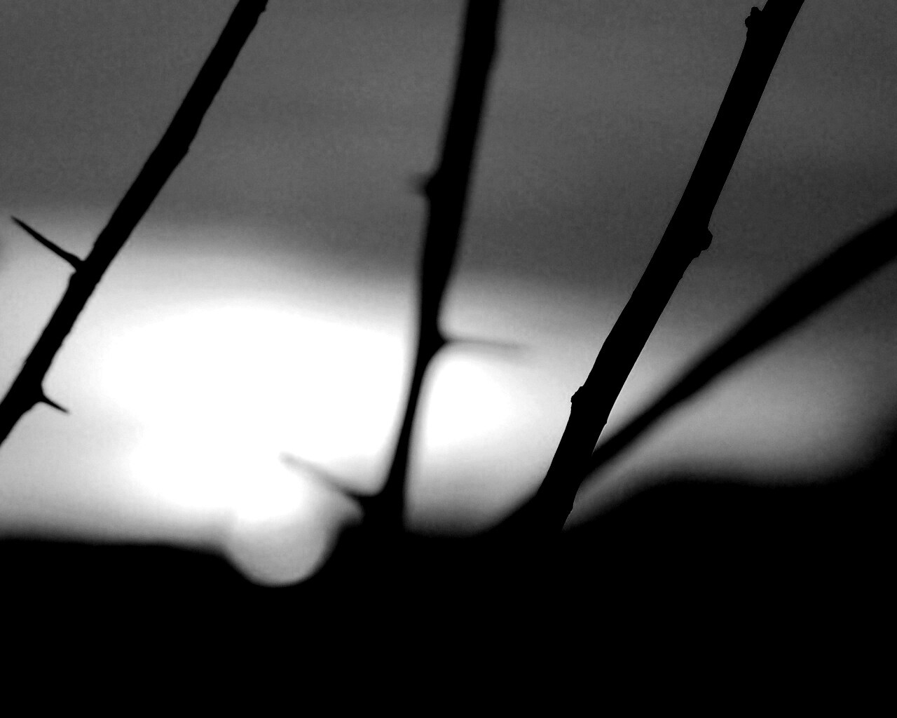 Закат солнца в поле обои