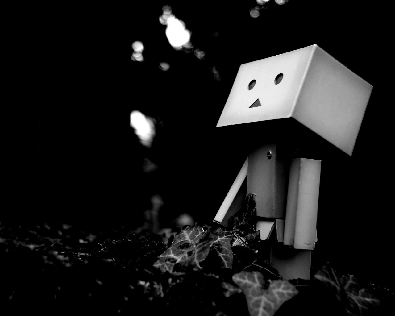 Danbo смотрит вверх обои