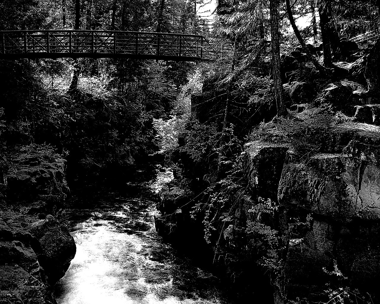 Мостик через реку в лесу обои