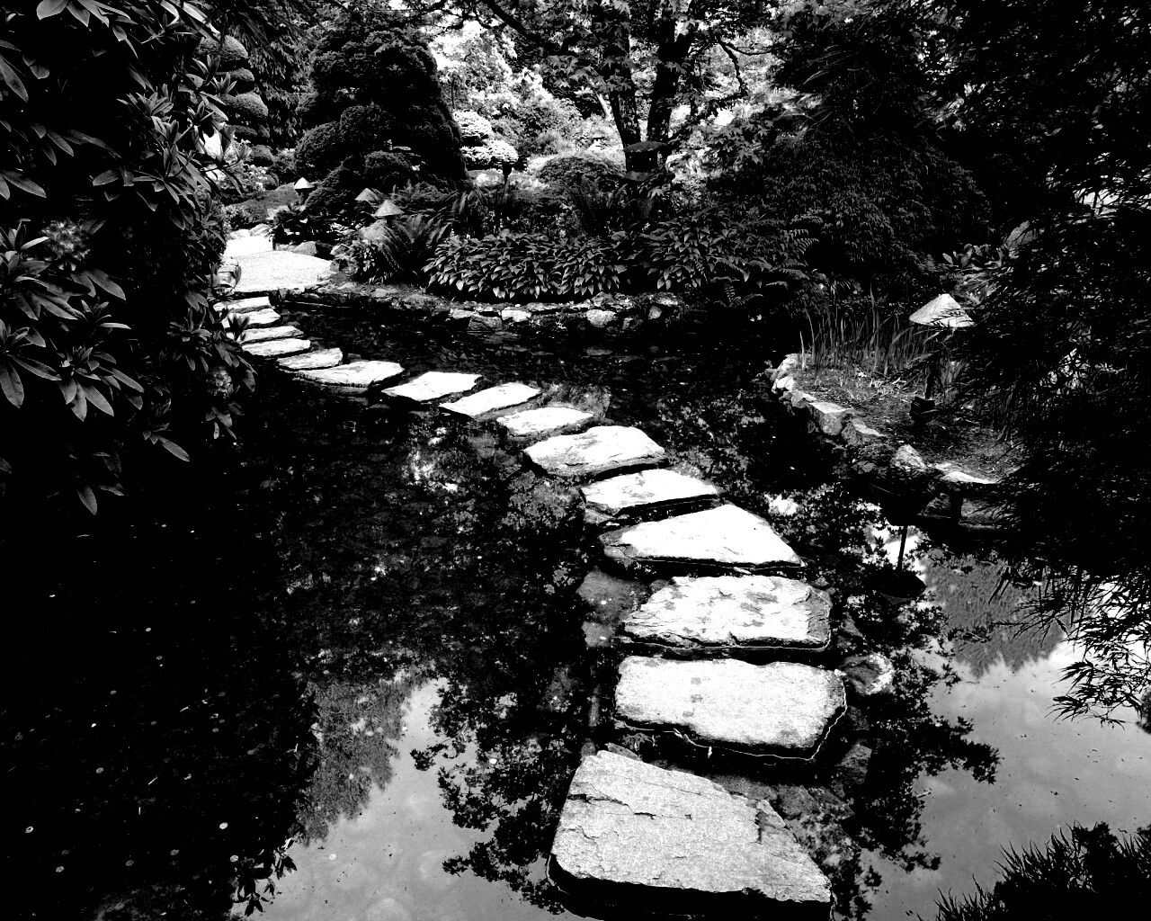 Дорожка через пруд обои