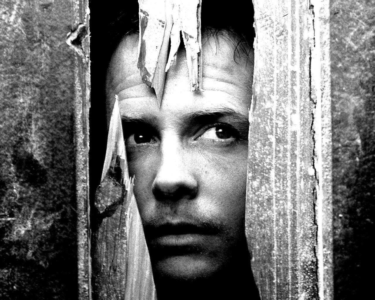 Страшилы обои