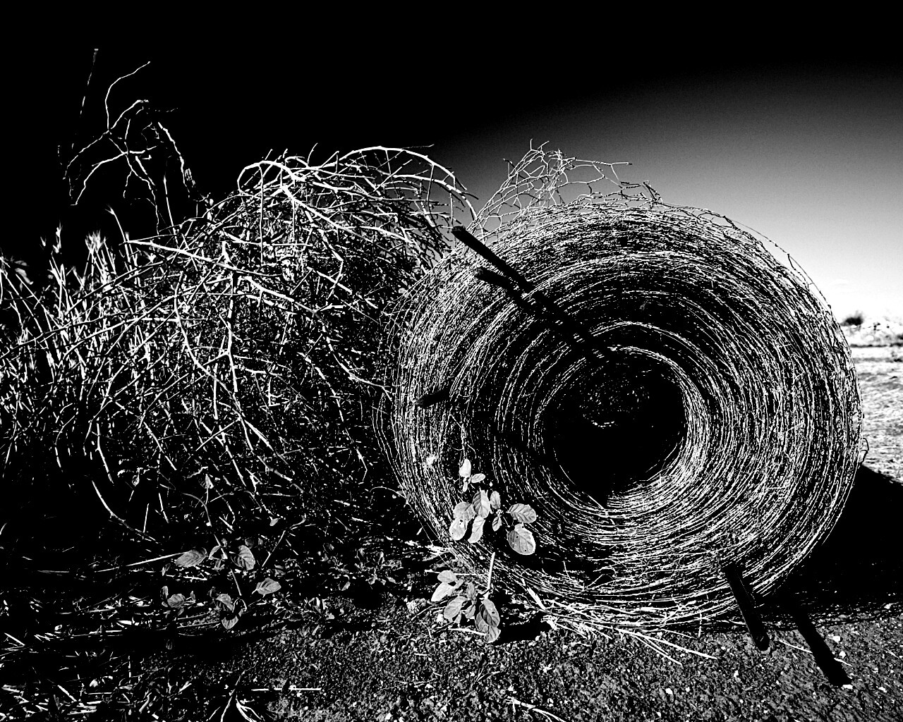 Клубок сена обои