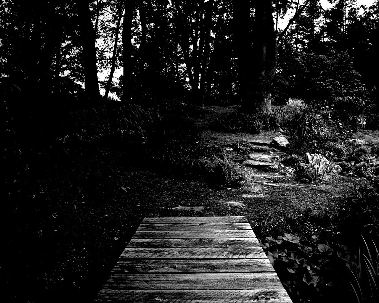 Лесные тропы обои