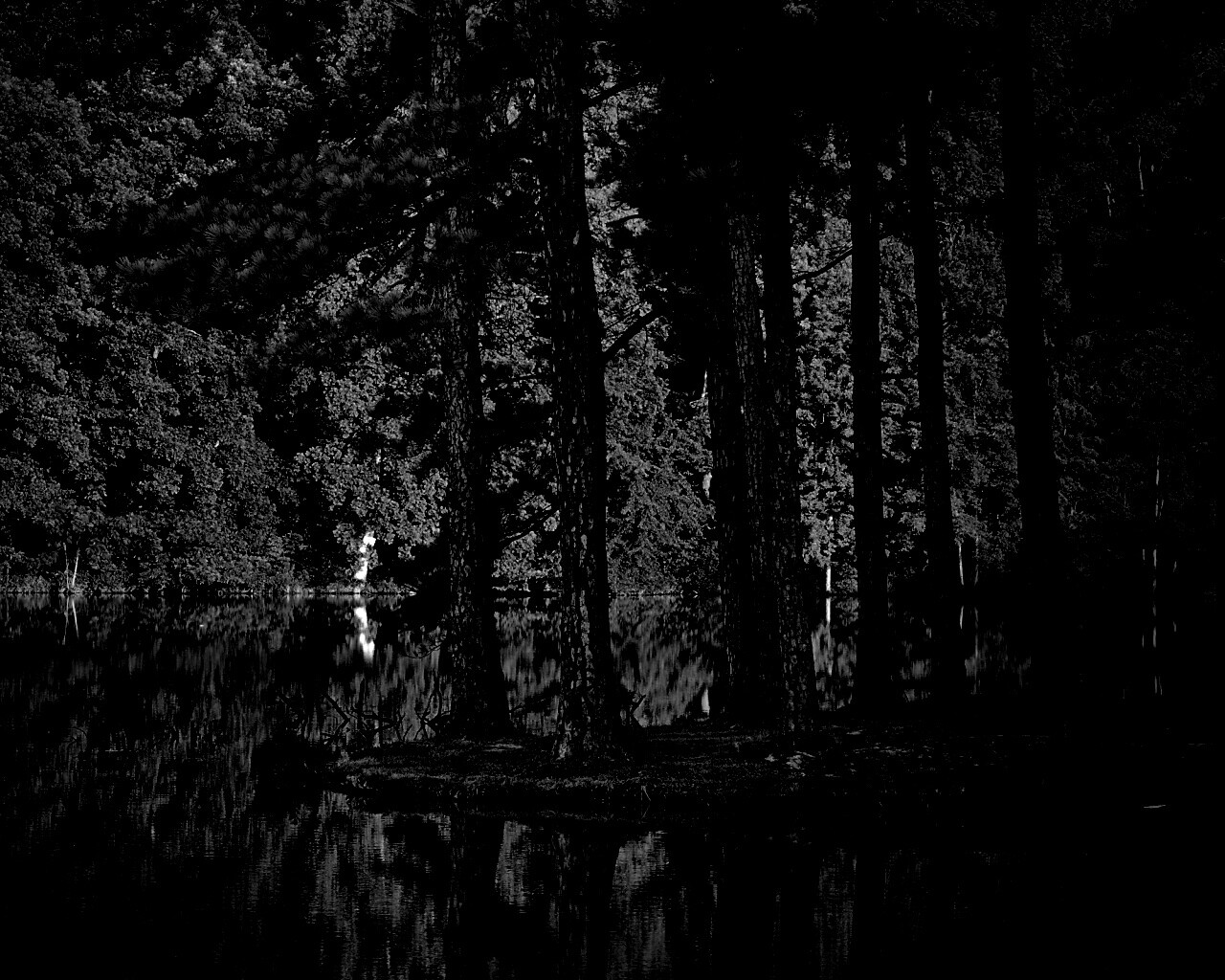 Островок посреди озера обои