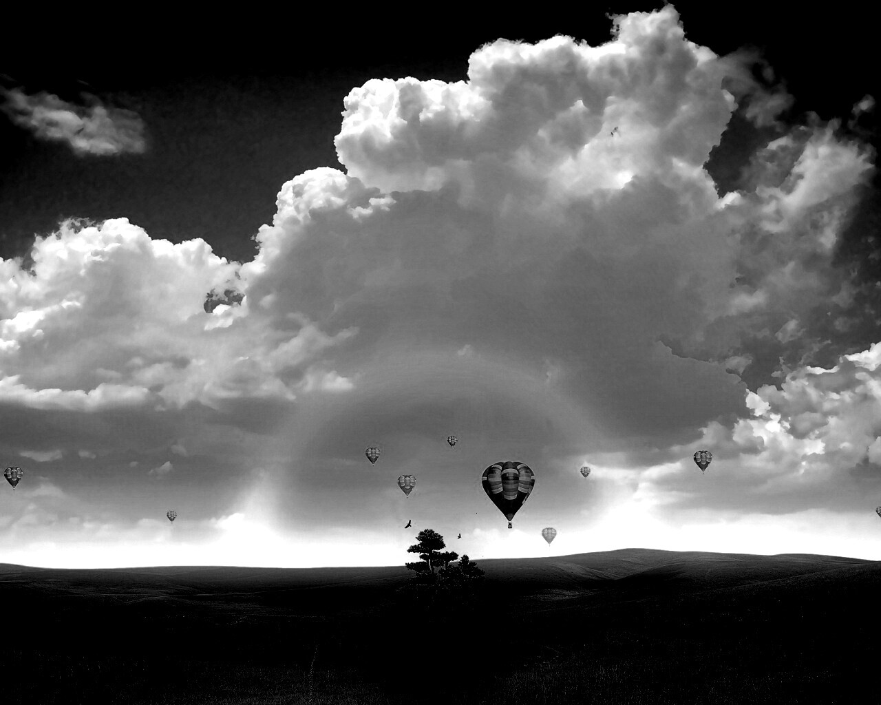 Мечты о полёте обои