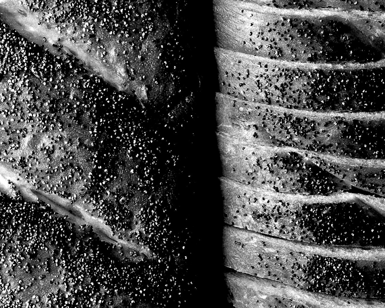 Выпечка с маковой крошкой обои