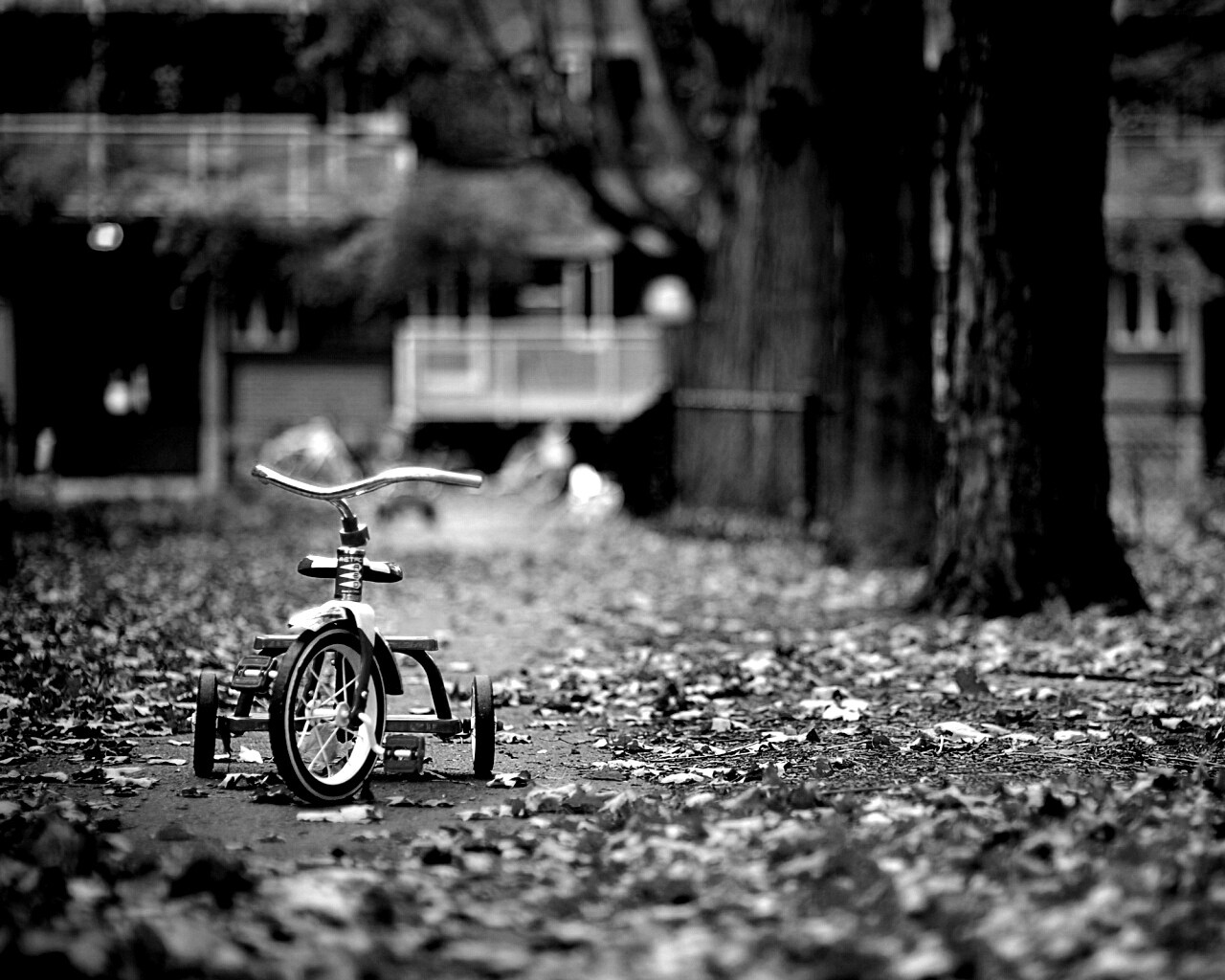 Трёхколёсный друг на осенней дорожке обои