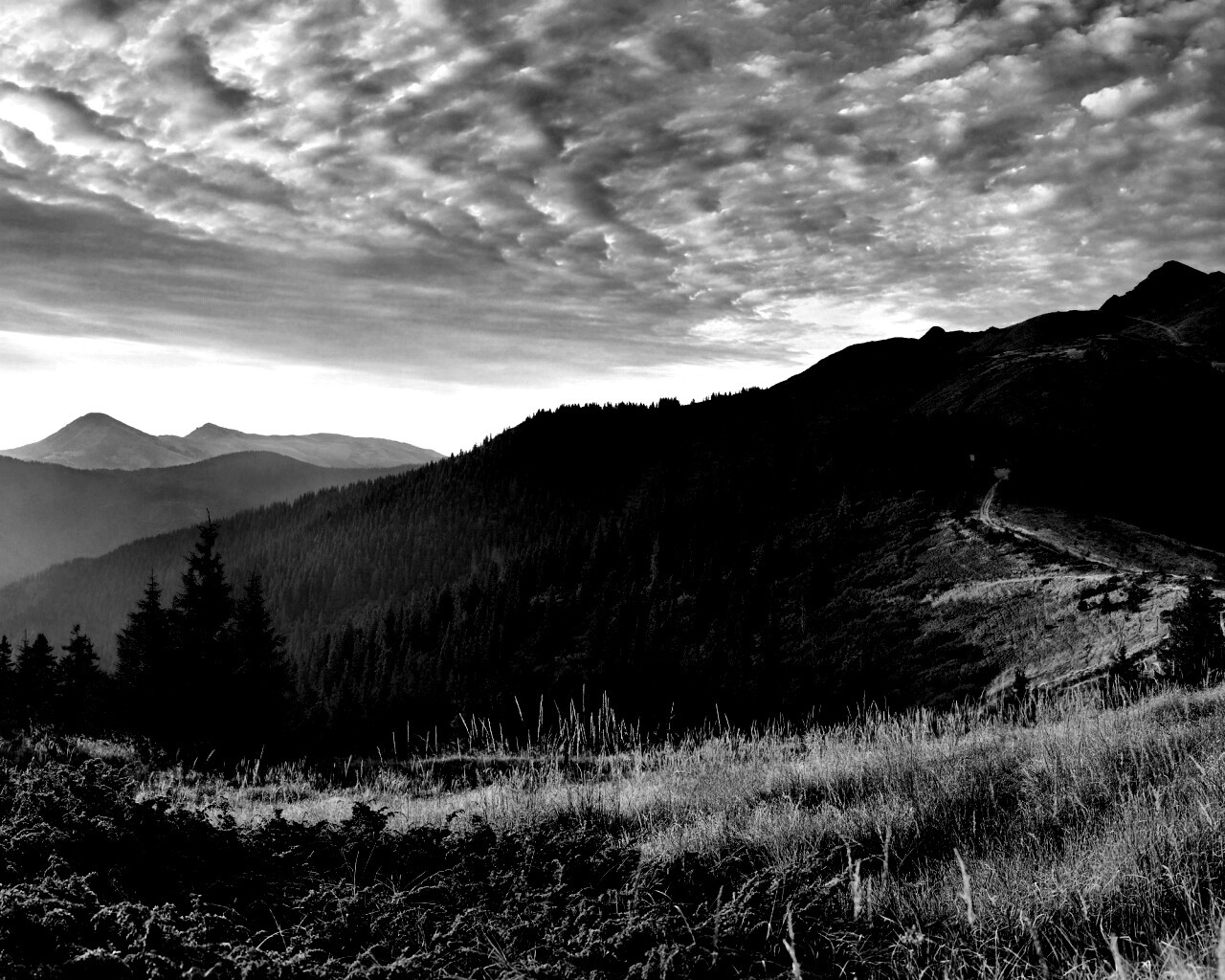 Предгорье обои