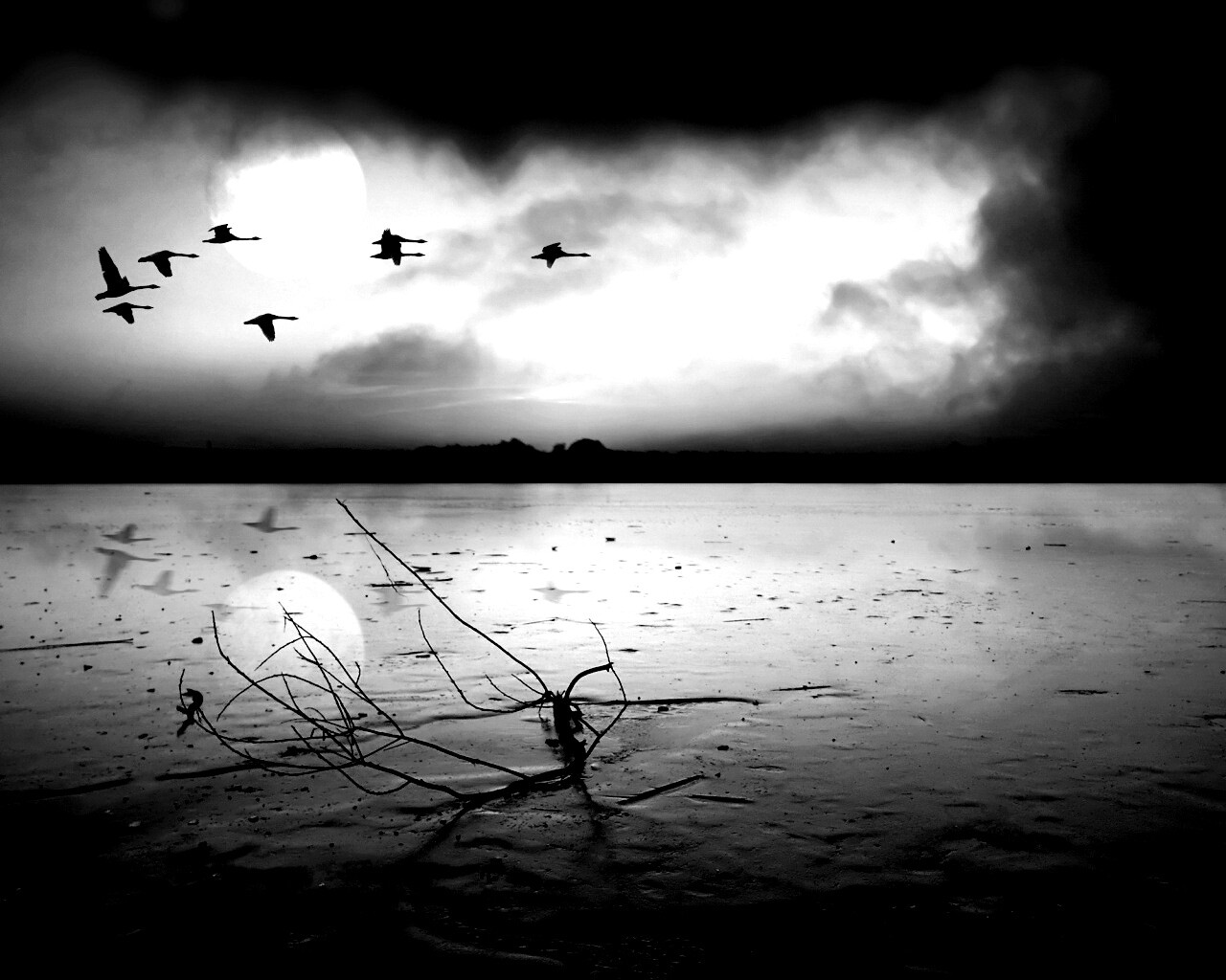 Полет птиц над озером обои