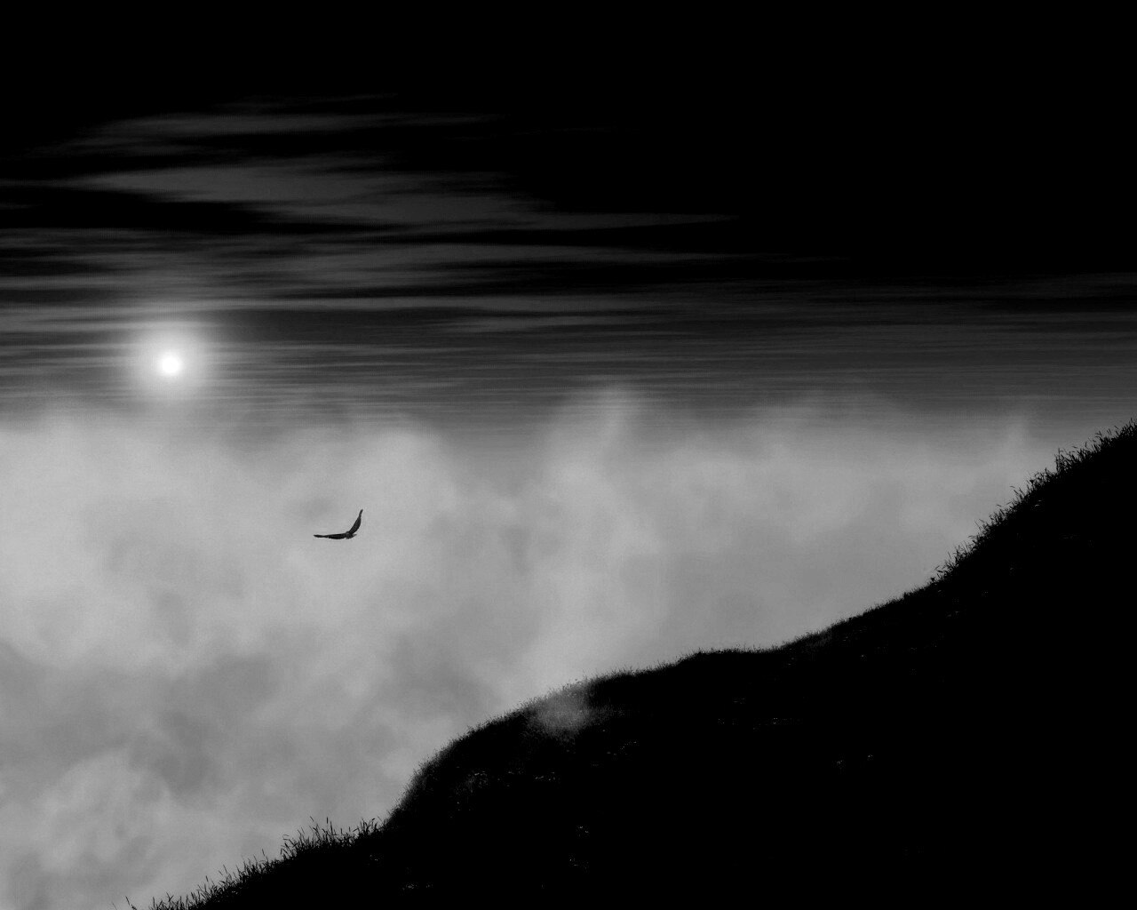 Птица парит над туманом обои