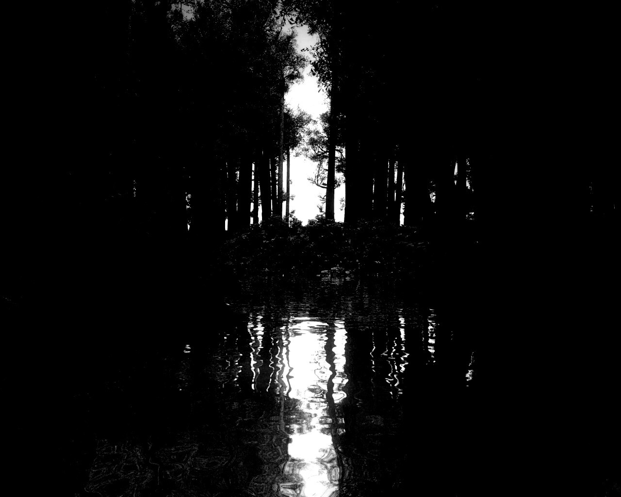 Болото в лесу обои