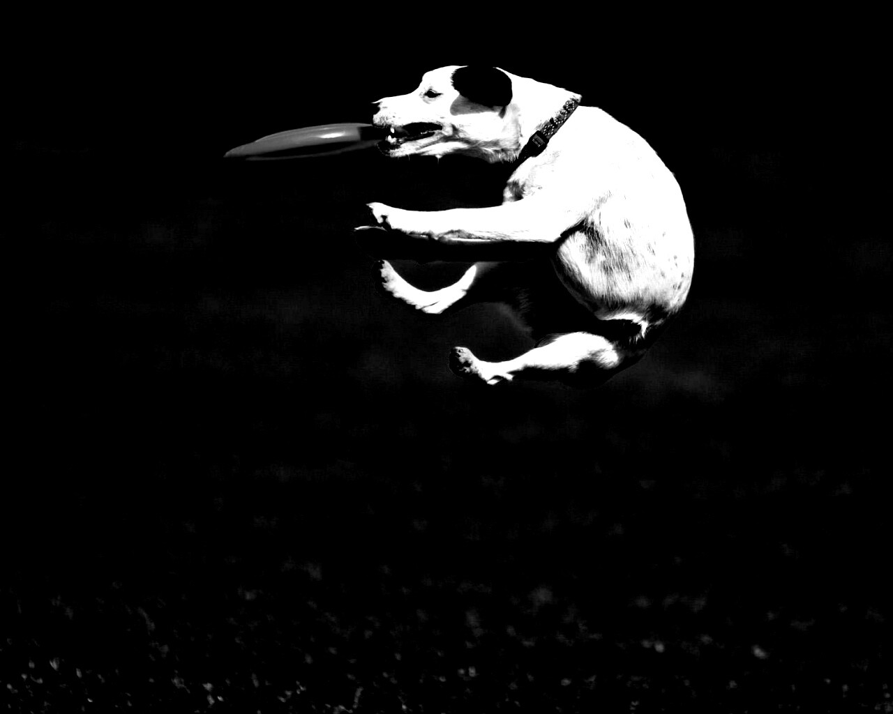 Ловкач обои