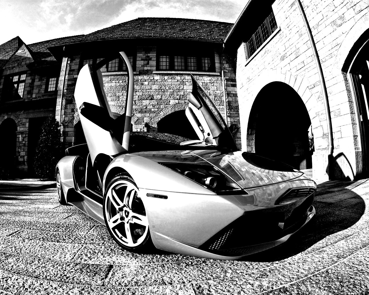 Зеленая ламба обои