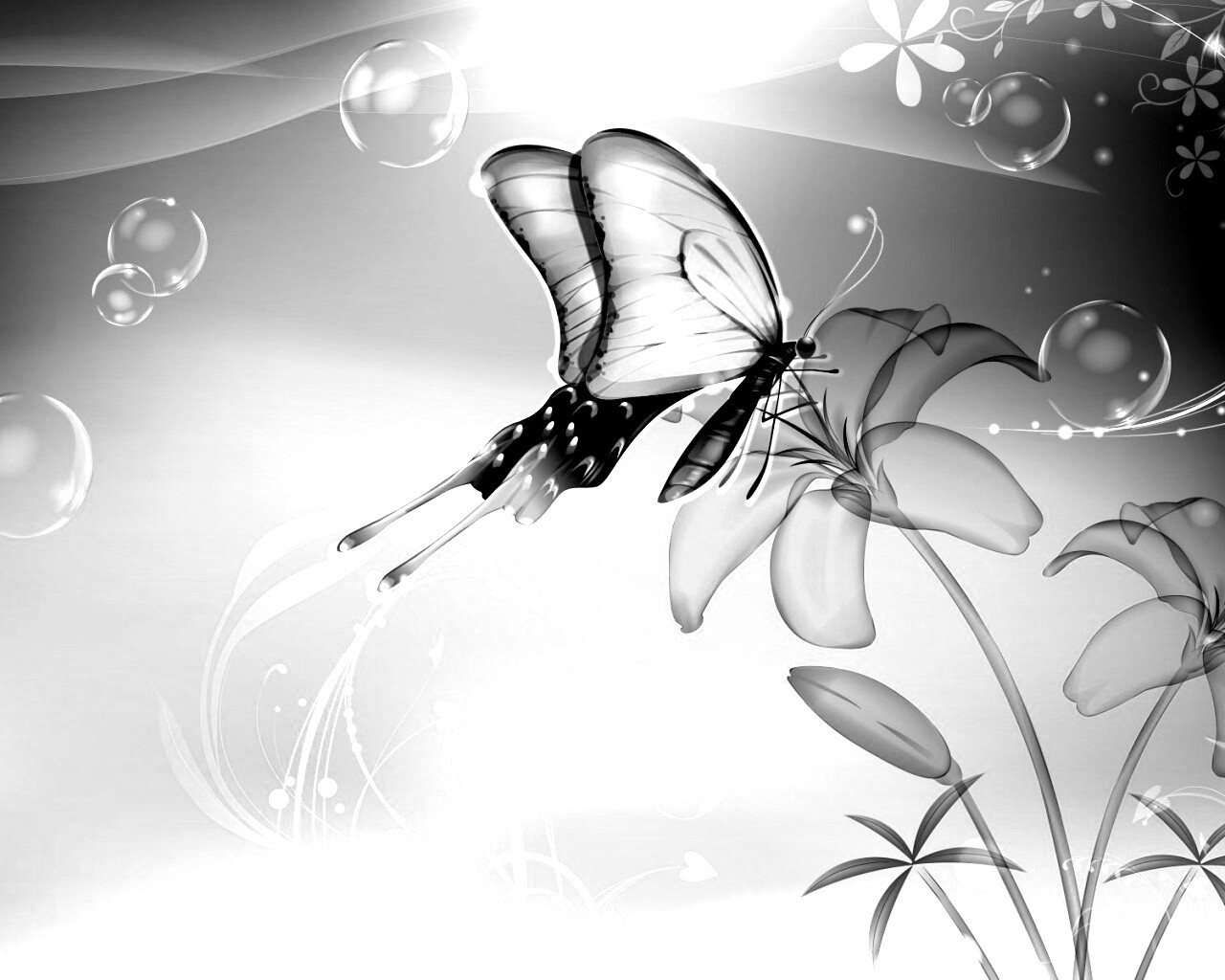 Сказочная бабочка обои