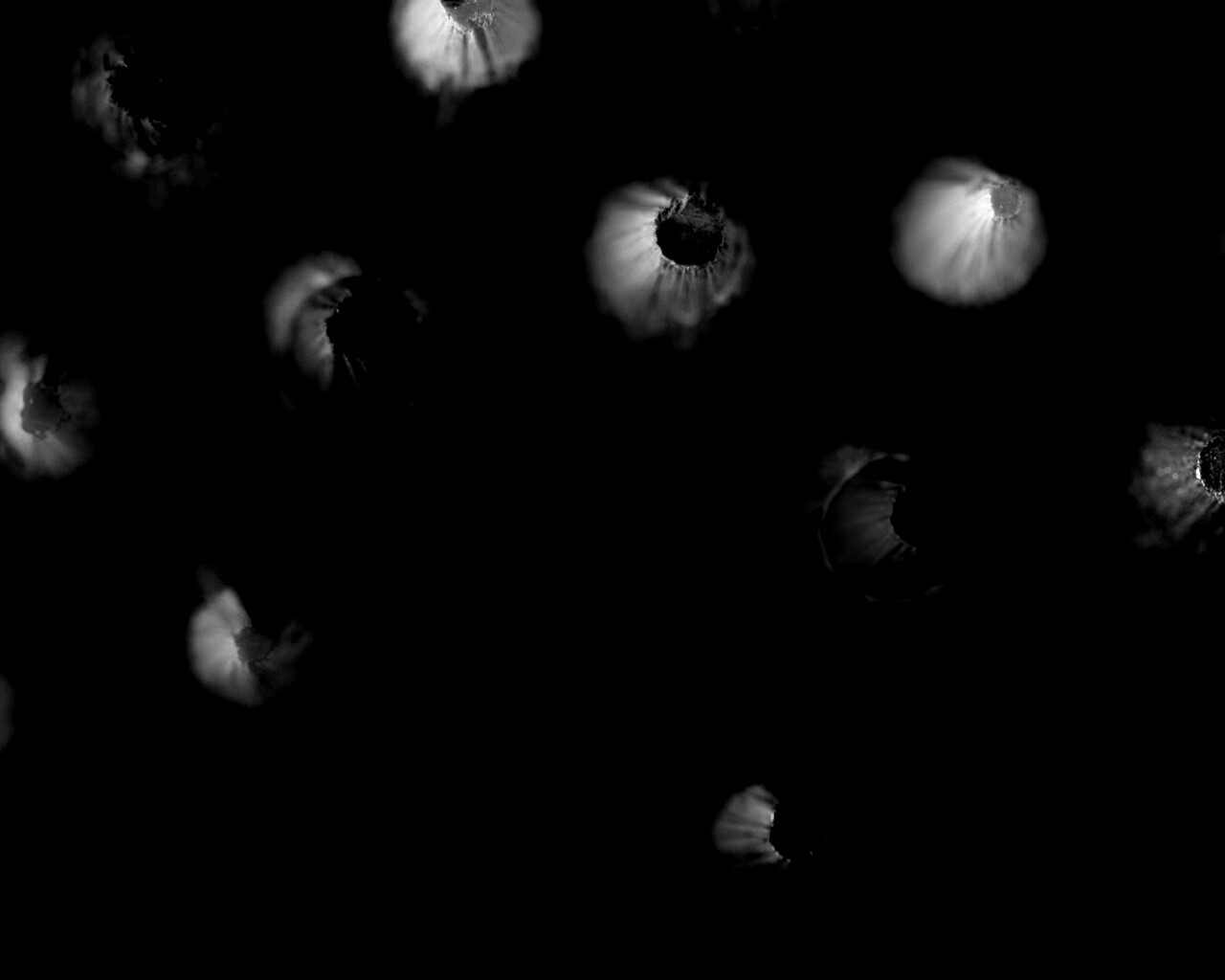 Карандаши обои