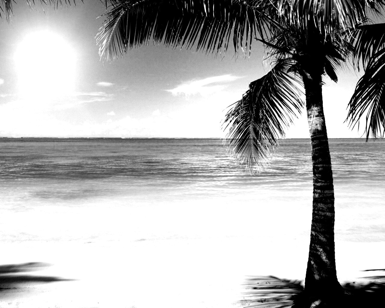 Райское побережье обои