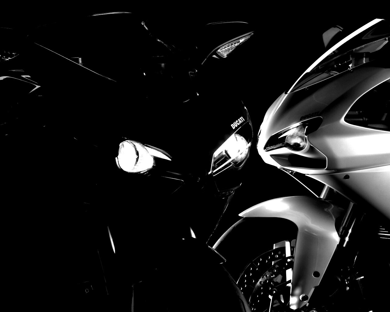 Красавцы  обои