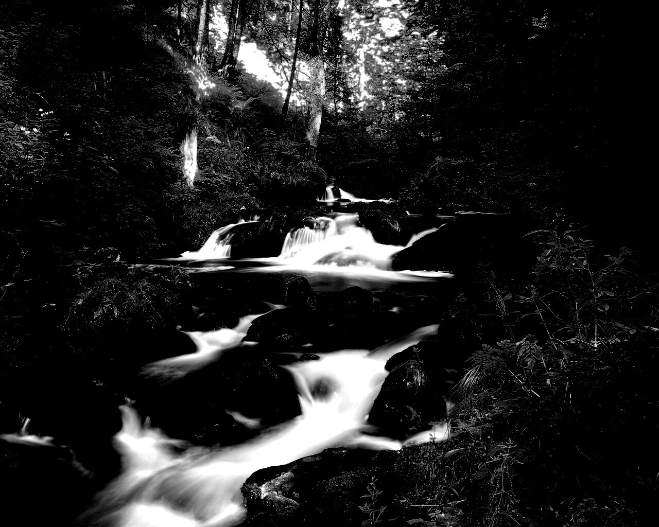 Живописный лесной водопад обои