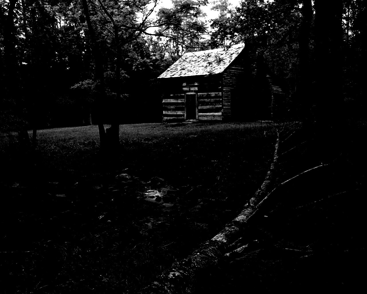 Домик в лесу обои