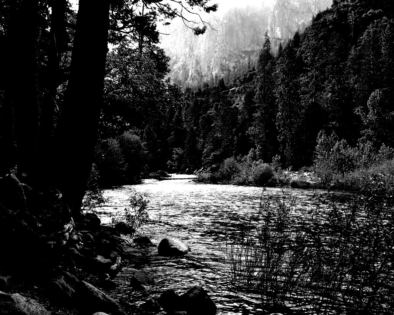 Национальный заповедник обои