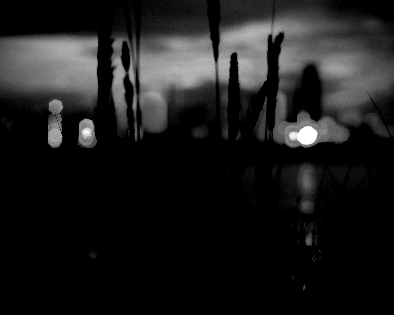 Камыш на фоне вечерних огней обои