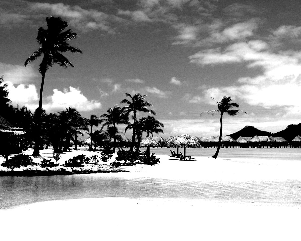 Побережье Бора-бора обои