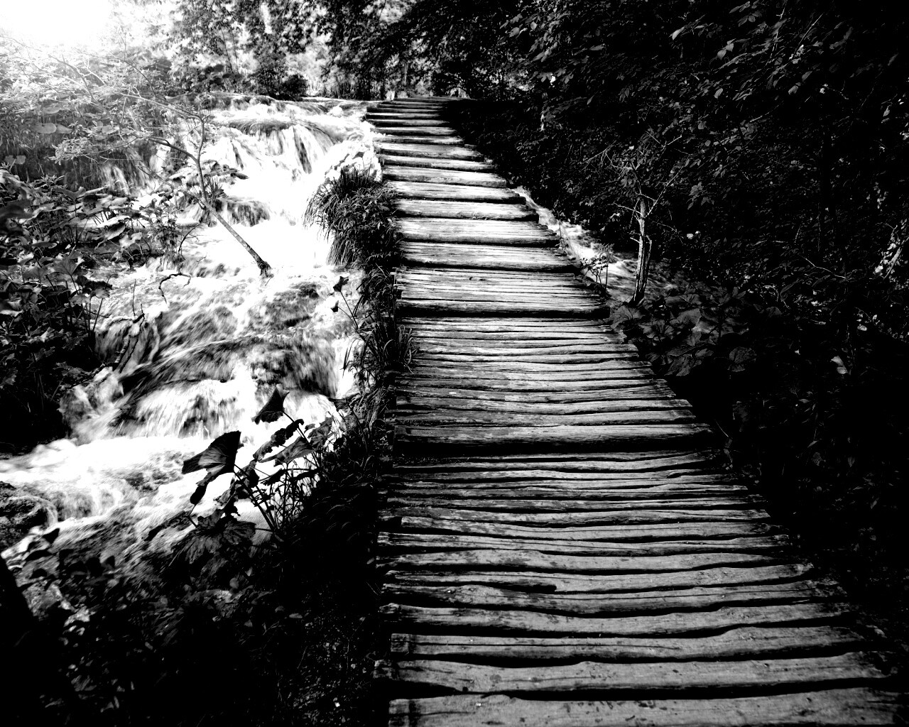 Деревянная дорожка над ручьем обои