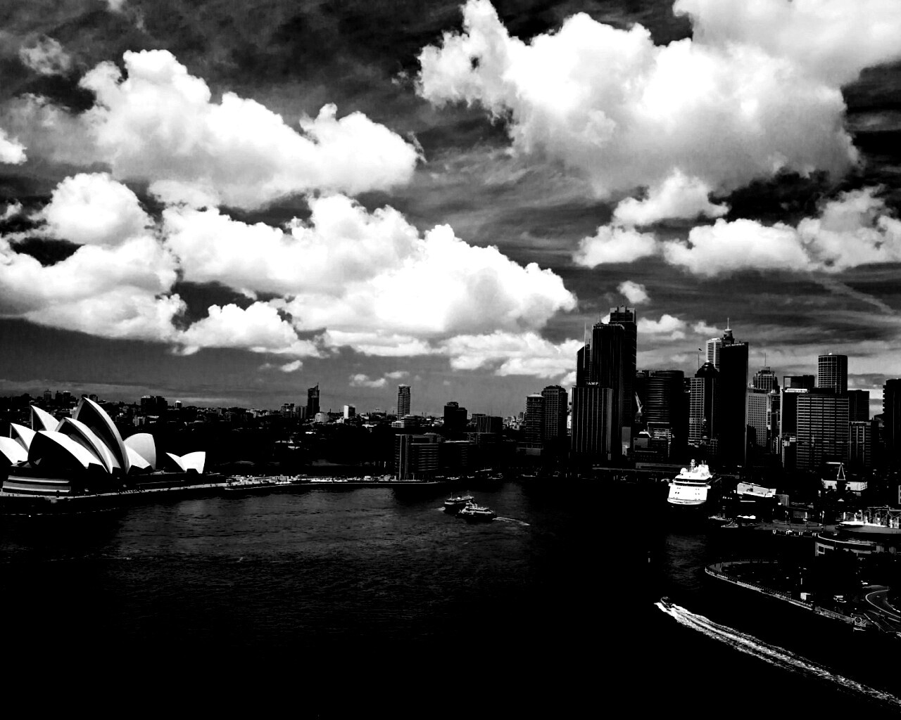 Сидней обои