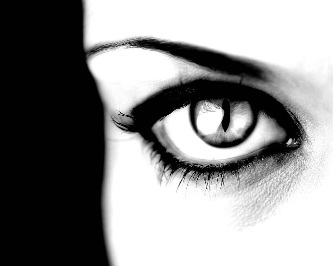 Кошачий глаз обои