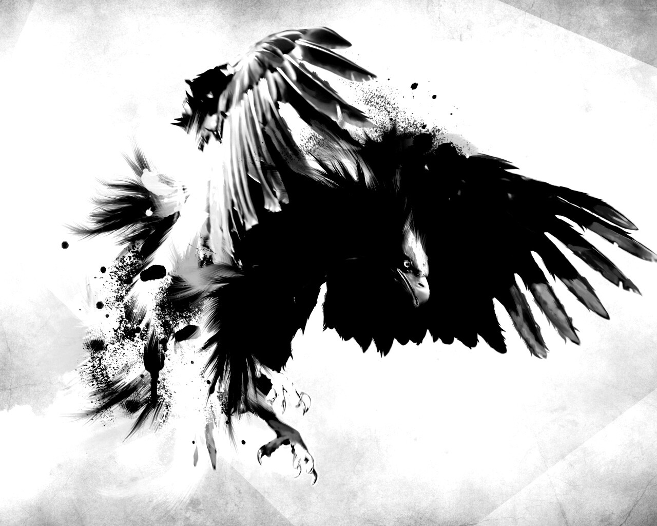 Скетч с орлом обои