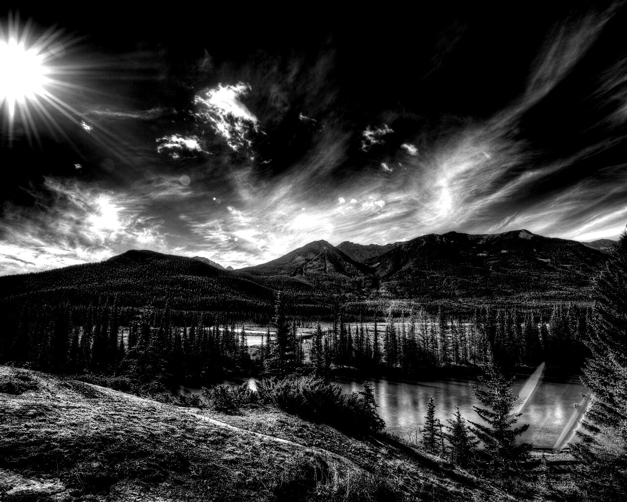 Болотистая местность обои