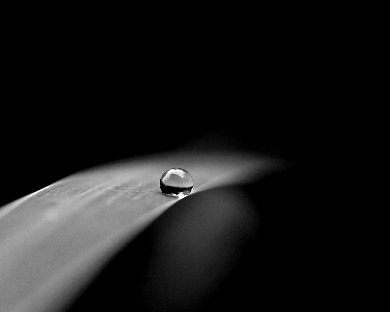 Капелька воды обои