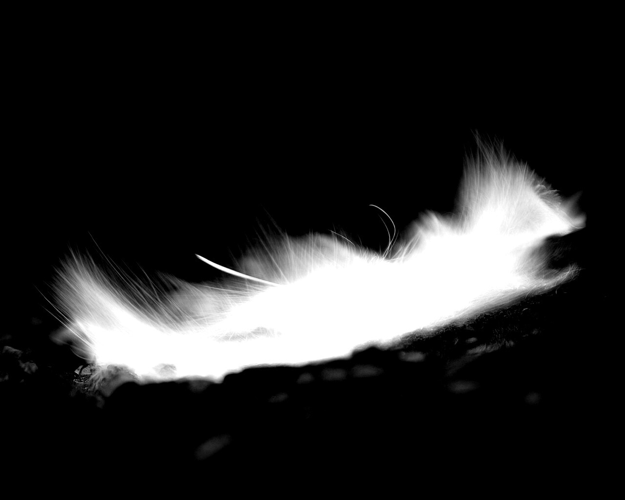 Вспышка обои