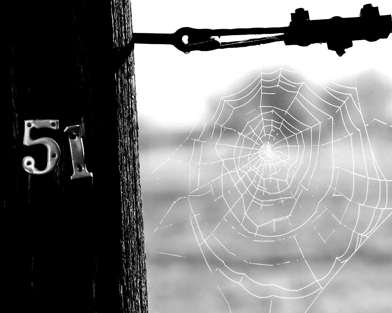 Паутина 51 обои