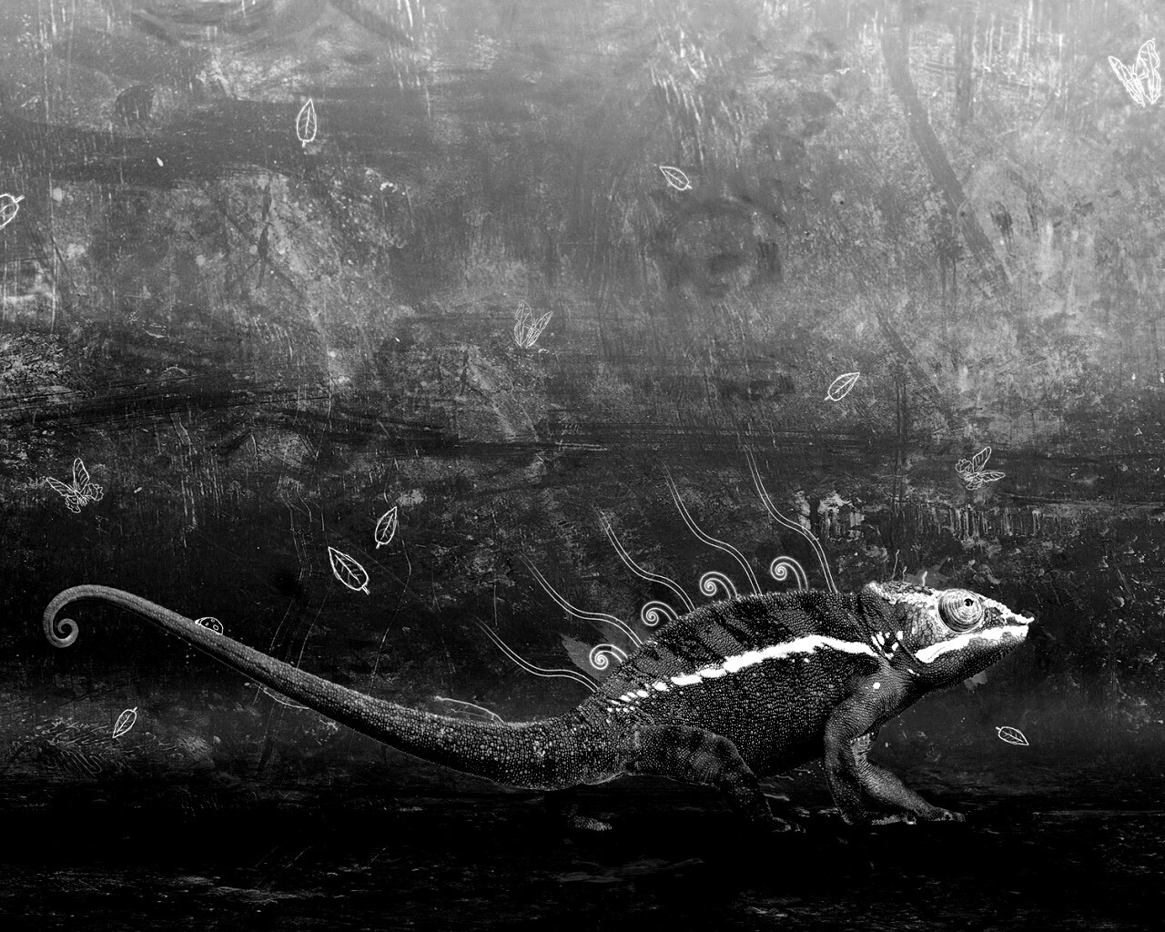 Хамелеон обои