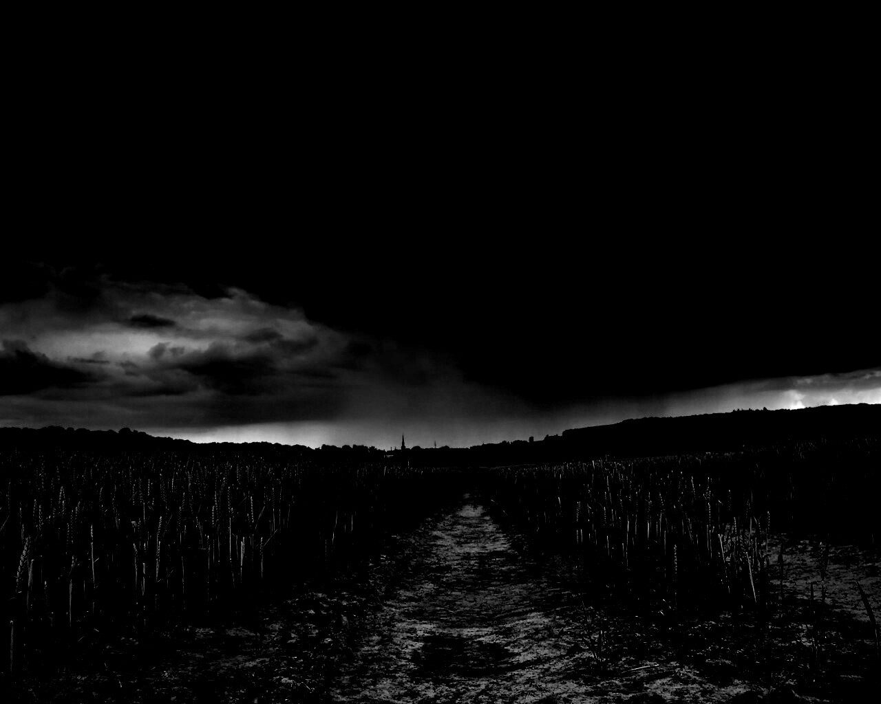 Поле ночью обои