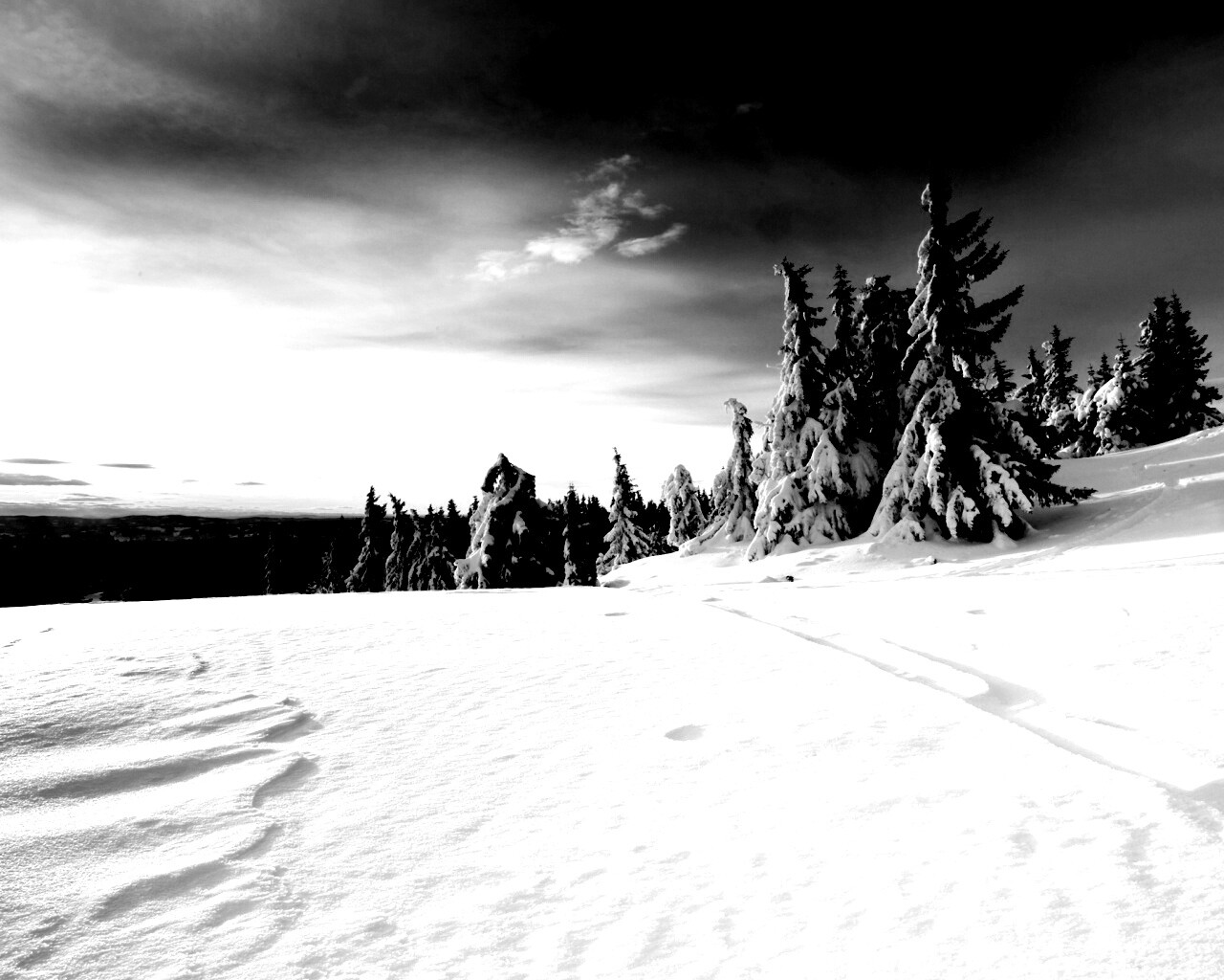 Зимние просторы обои