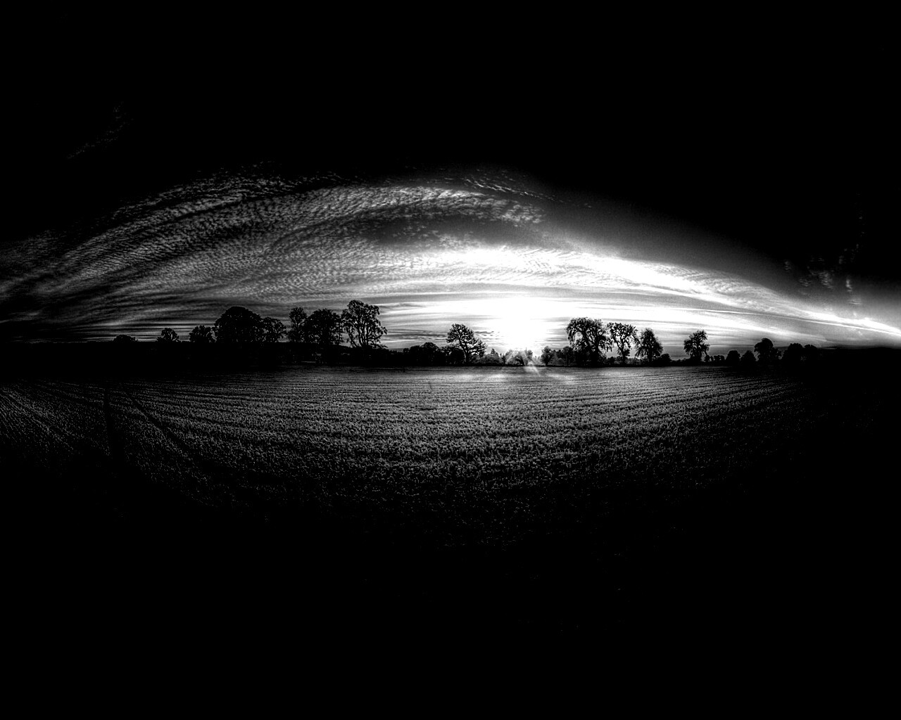 Поле широкоугольным объективом обои