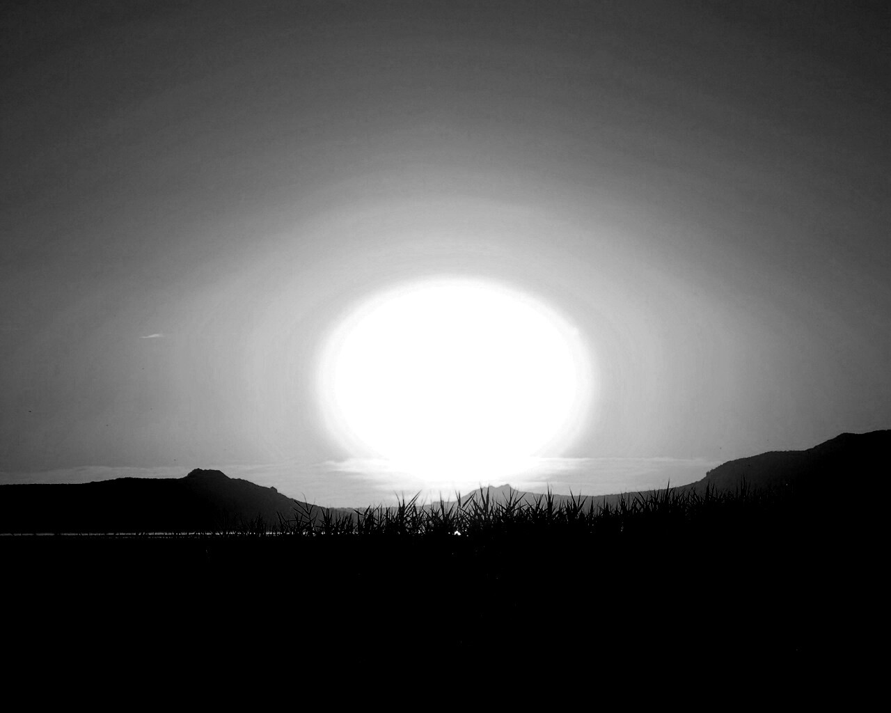 Сельский закат обои