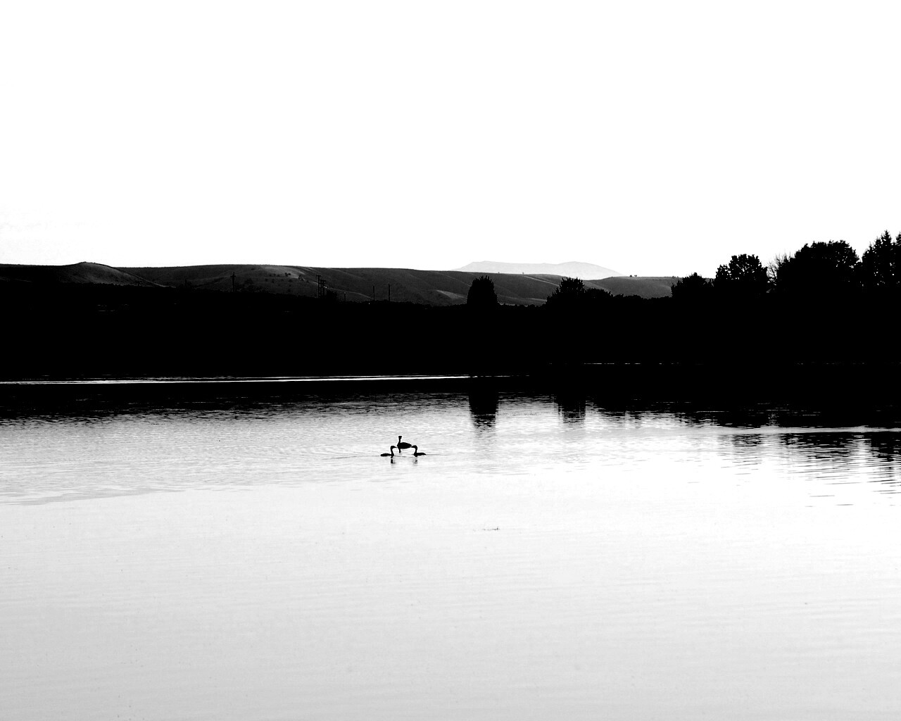 Утиное озеро обои