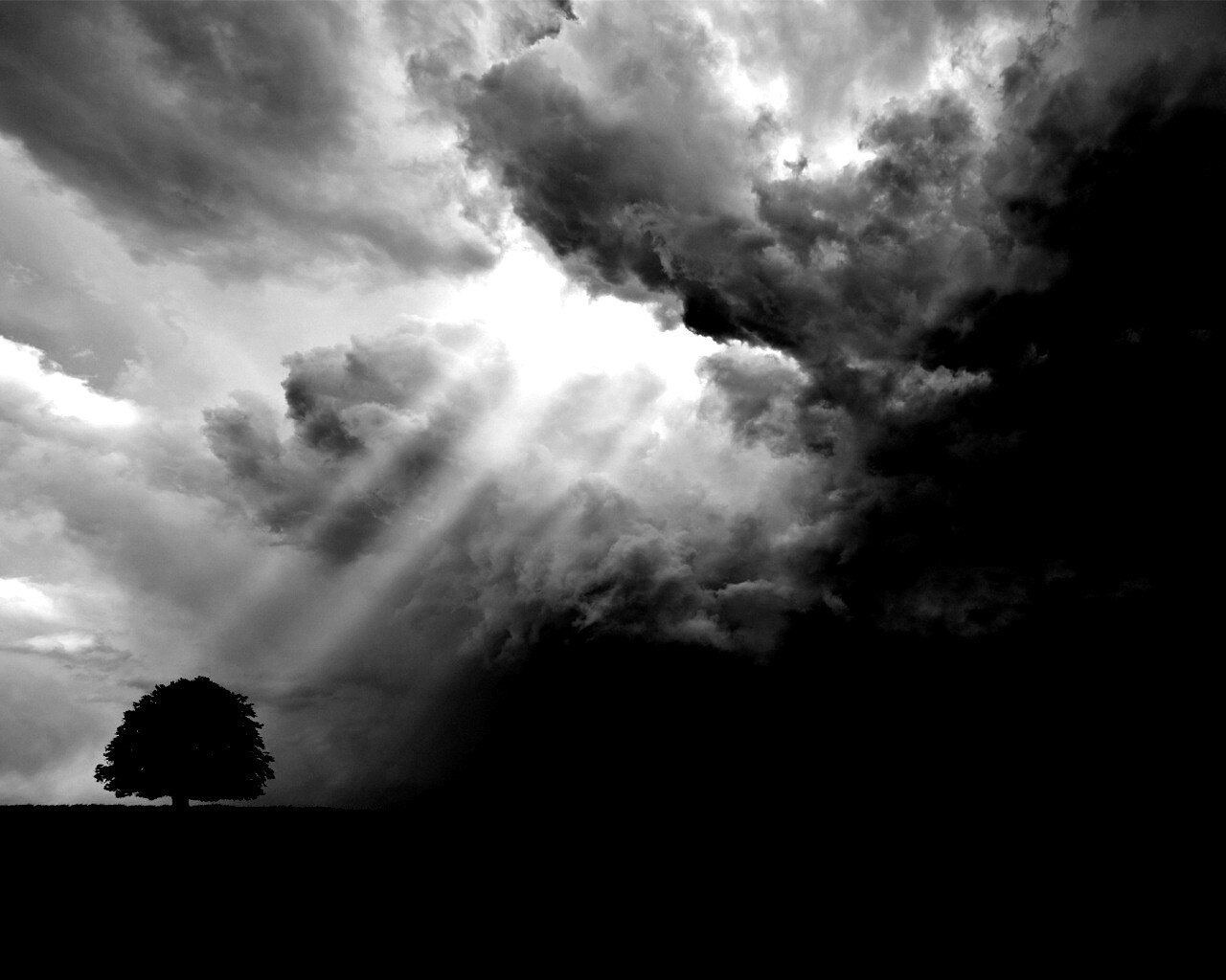 Избранный обои