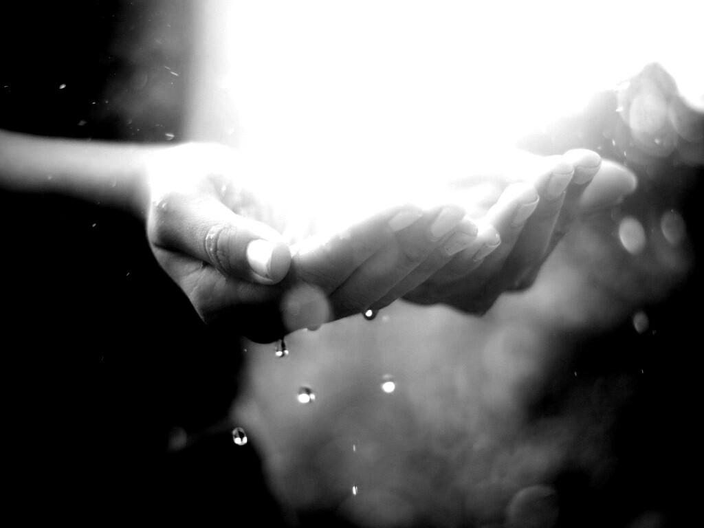 Дождь в ладонях обои