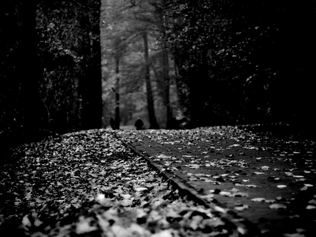 Осенняя дорога обои