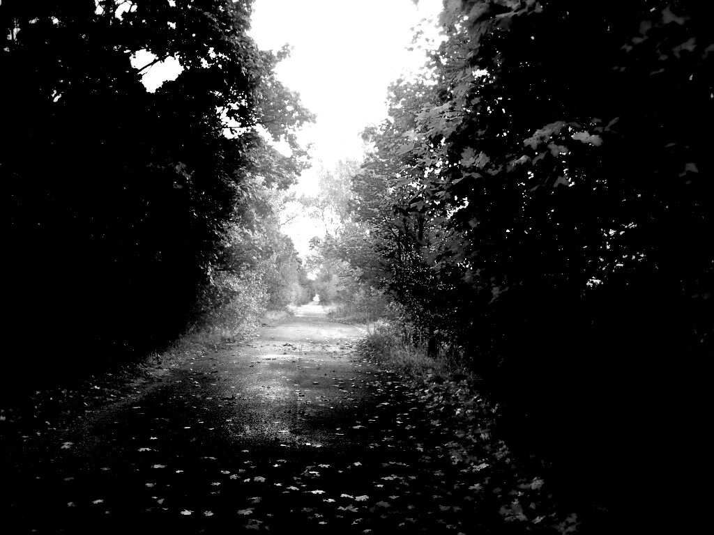 Желтая дорога обои