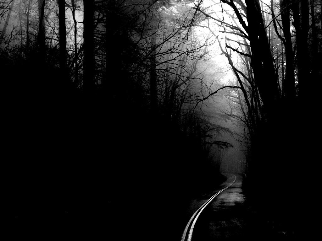 В туман обои